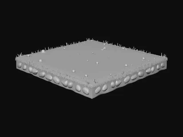 3D model for Grass