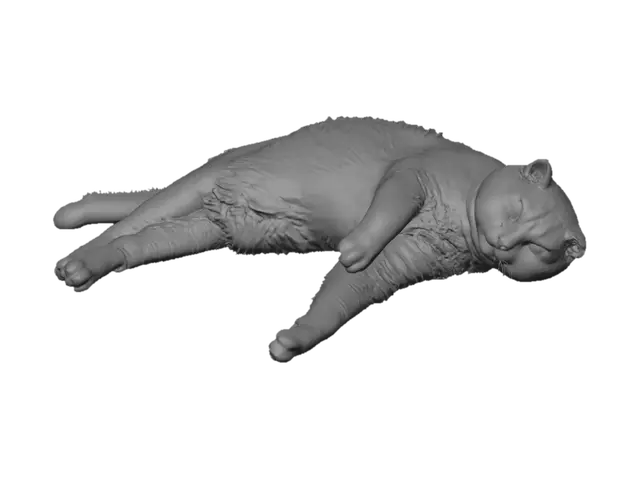 3D model for Cozy Ginger Cat Lounging