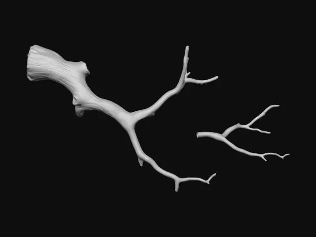3D model for photorealistic dry dead wood branch, slender slightly twisted shape, natural broken twig ends, rough weathered cracked bark, deep crevices and indentations (ideal for moss attachment), brittle dry texture, clean game-ready topology, seamless PBR textures, 2K resolution, no thick trunk, no stump