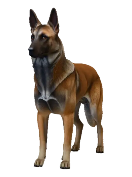 Cookie Dog (Belgan Malinois) - Friend 3D model, vytvořený pomocí AI