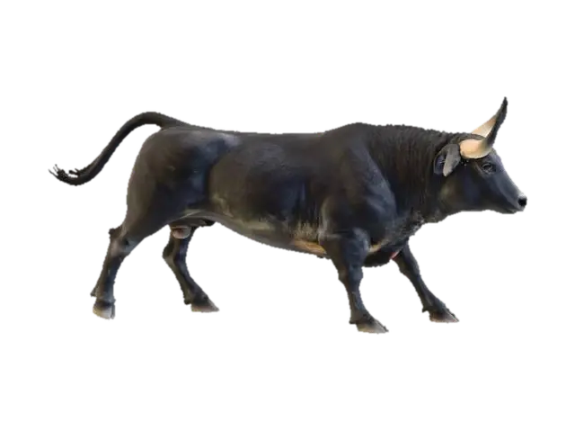 Majestic Bull3 - Bull 3D model, vytvořený pomocí AI