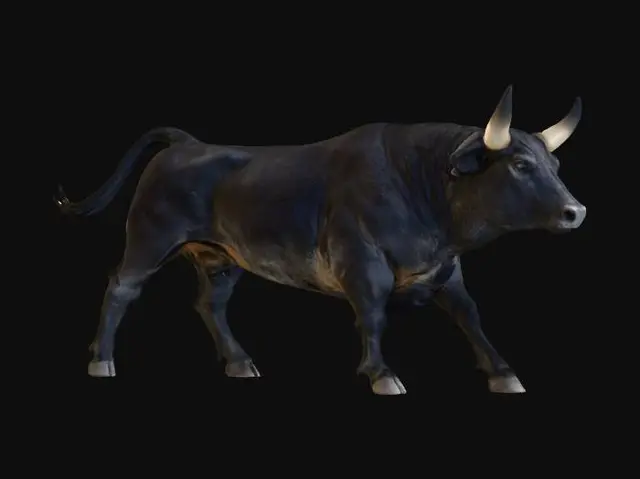 3D model for Majestic Bull2