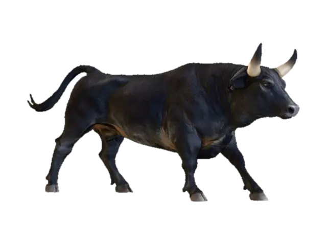 3D model for Majestic Bull2