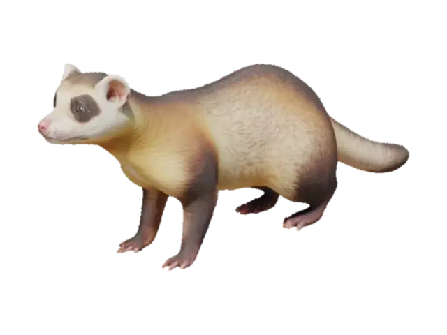 A realistic ferret standing on four legs,Symmetrical, Highly Detailed 3D model, vytvořený pomocí AI