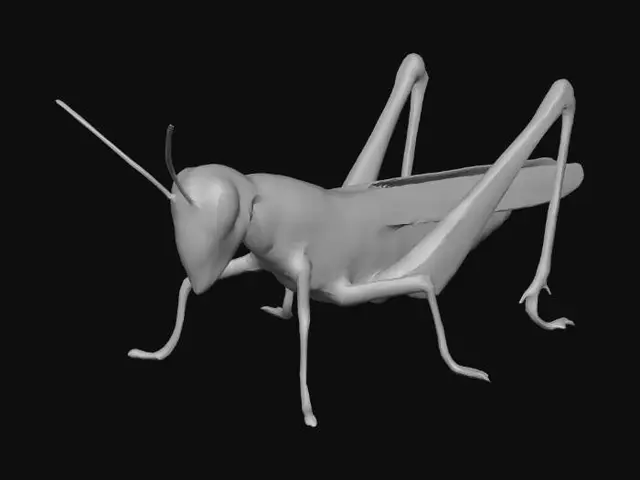 Free Grasshopper 3D Models - Download Instantly | Meshy