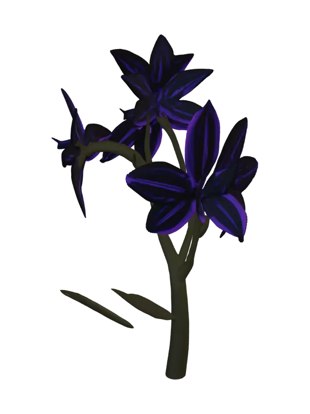 3D model for Midnight Blossoms
