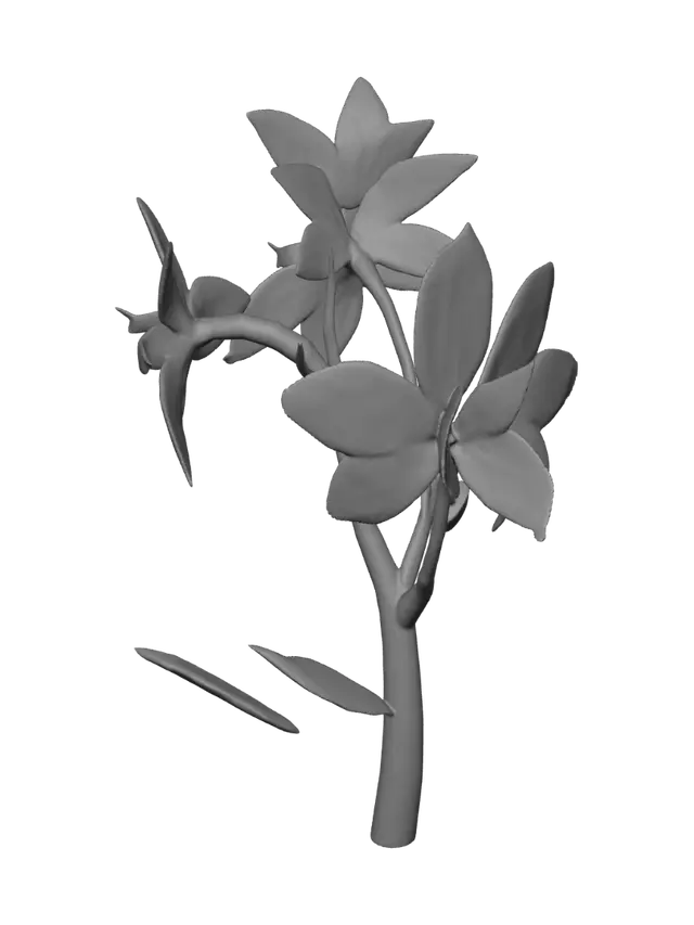 3D model for Midnight Blossoms