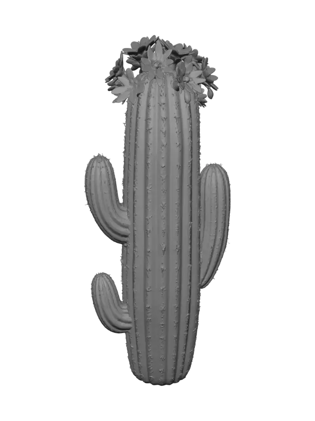 3D model for 