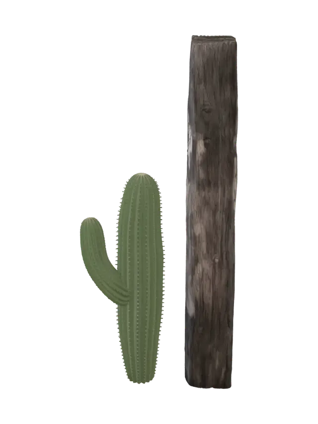 3D model for