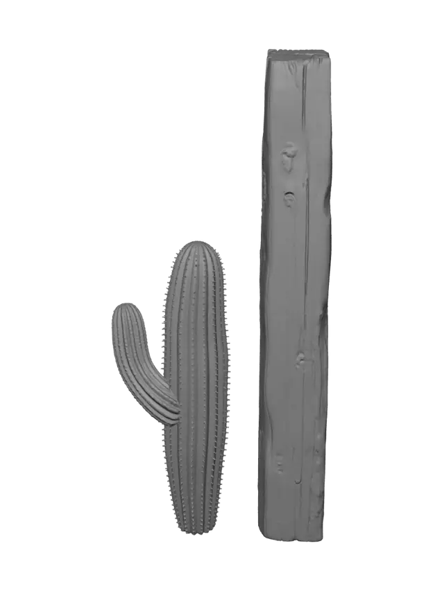 3D model for