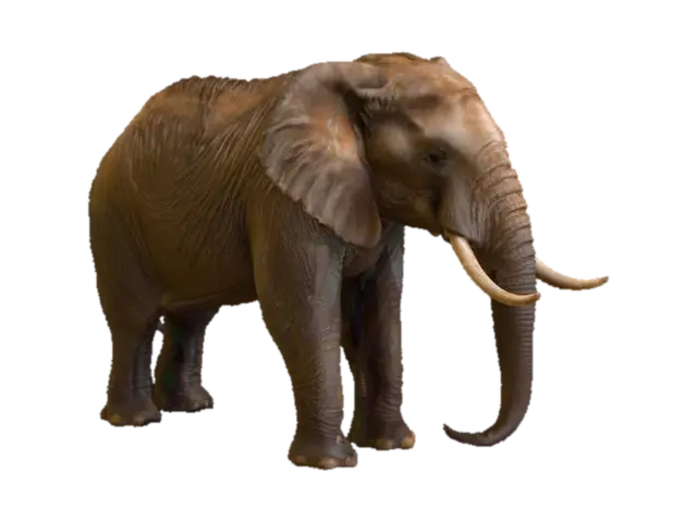 Majestic Elephant in Jungle 3D model, vytvořený pomocí AI