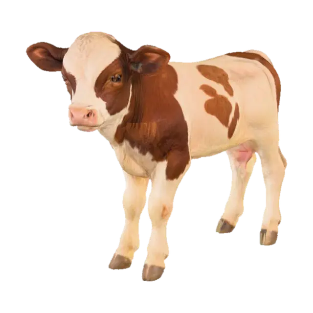 Calf in the Meadow - Cow 3D model, vytvořený pomocí AI
