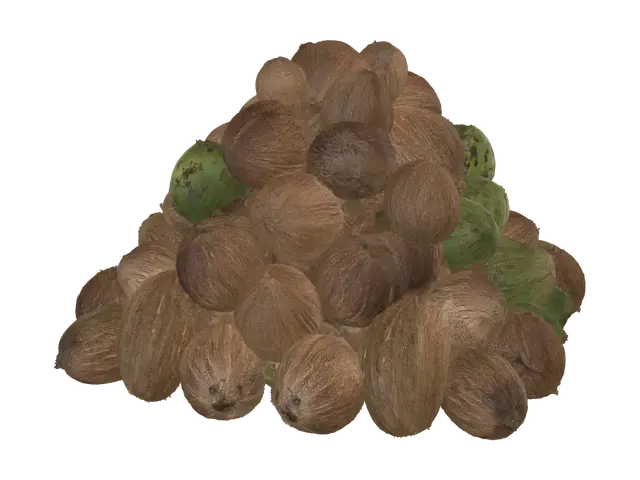 3D model for Coconut Pyramid