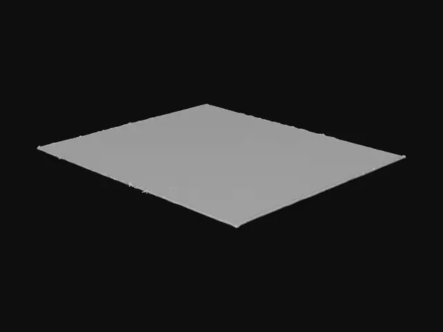 3D model for a large rug