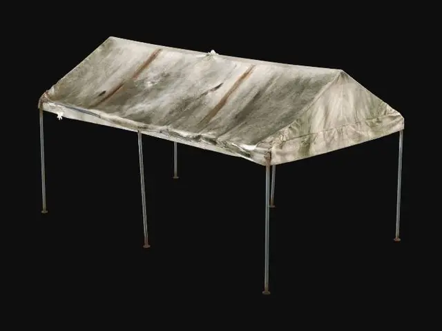 3D model for Weathered Shelter