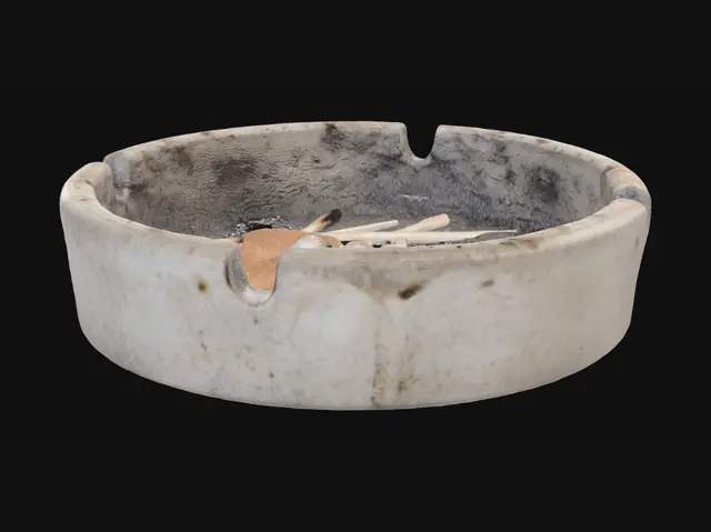 3D model for Cigarette Butts in an Ashtray