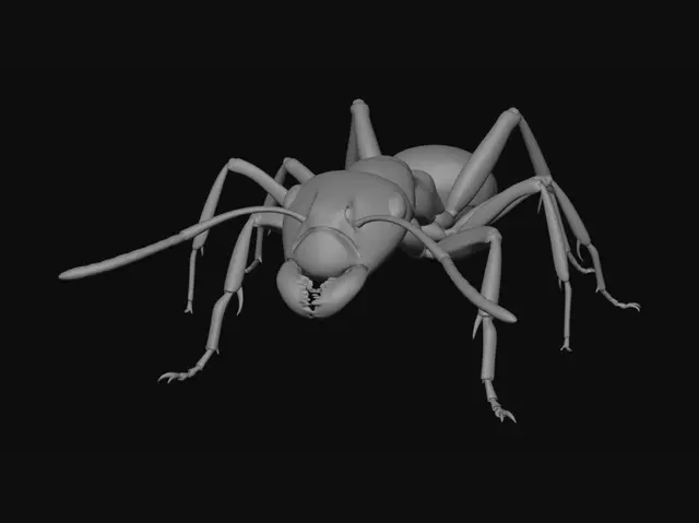 3D model for Crimson Ant in Profile