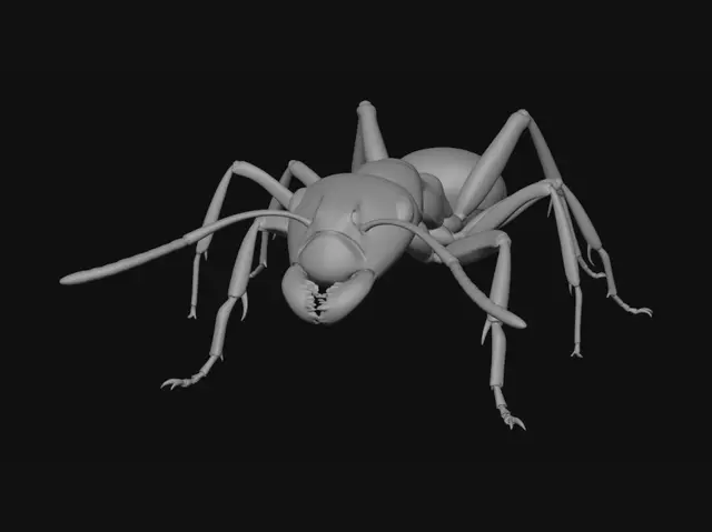 3D model for Crimson Ant in Profile