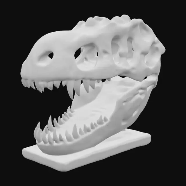 3D model for Fossil Majesty