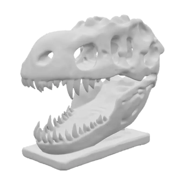 3D model for Fossil Majesty