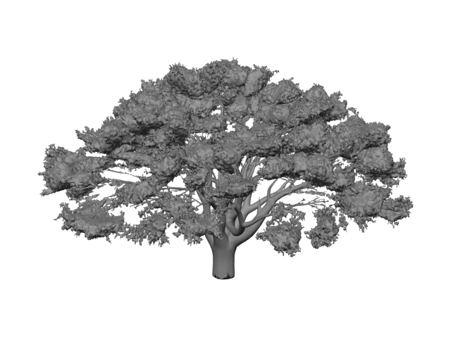 3D model for Sunlit Tree in a Field