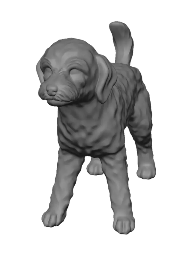 3D model for Snowball on a Leash