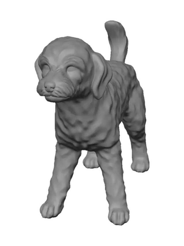 3D model for Snowball on a Leash