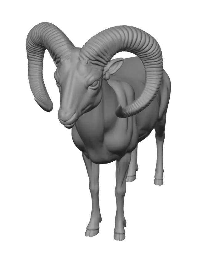3D model for Nocturnal Ram