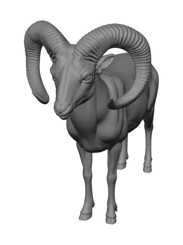 3D model for Nocturnal Ram