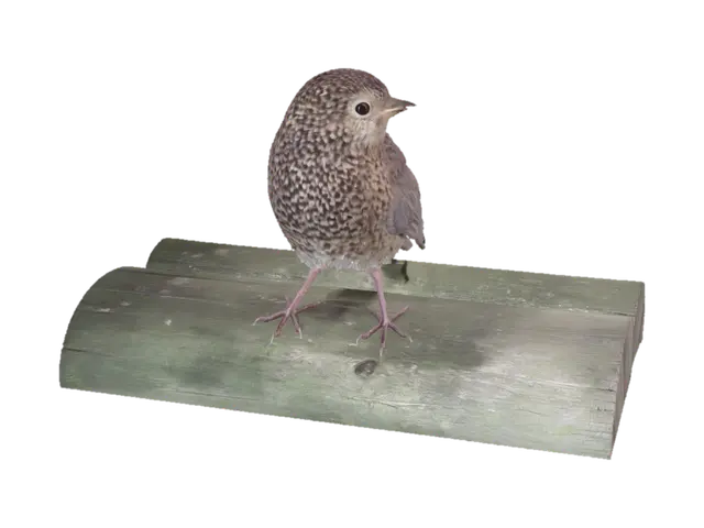 Juvenile Brown Bird on a Wooden Rail 3D model, vytvořený pomocí AI