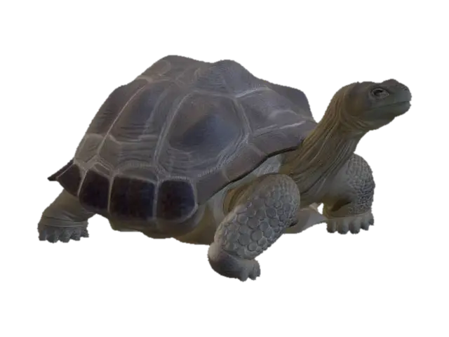 Tortuga gigante de Galápagos - Galapagos 3D model, vytvořený pomocí AI