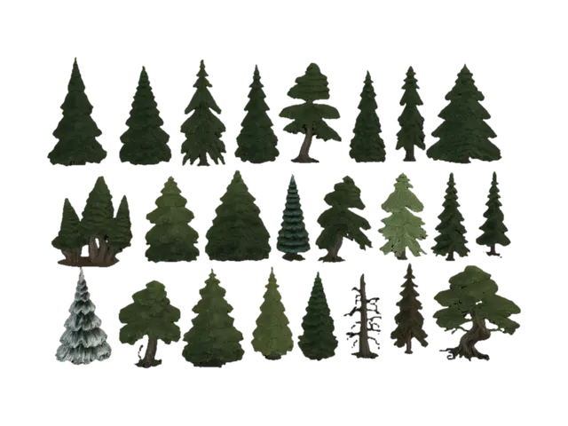 3D model for Conifer Collection