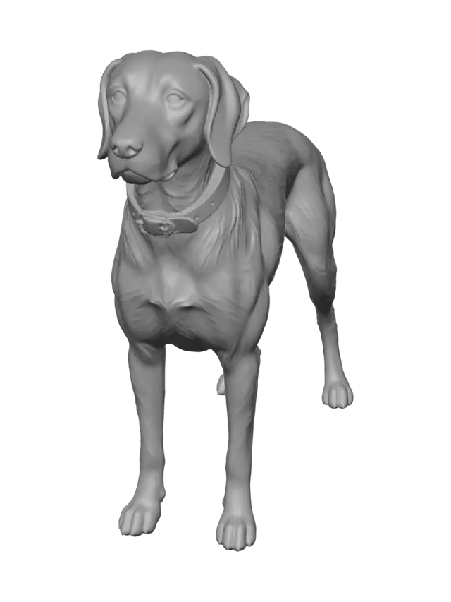 3D model for Grey Sentinel
