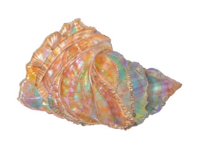 Seaside Treasure - Coast 3D model, vytvořený pomocí AI