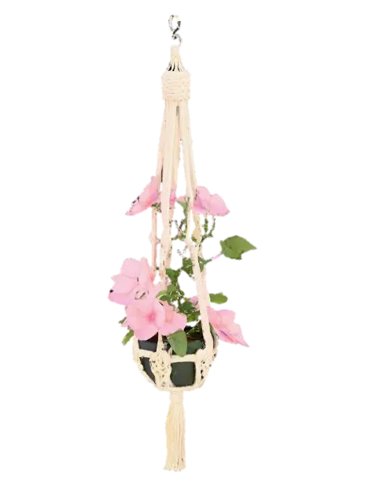Low poly, hanging macrame, jasmin, pink flower plant-3D-modell, genererad av AI