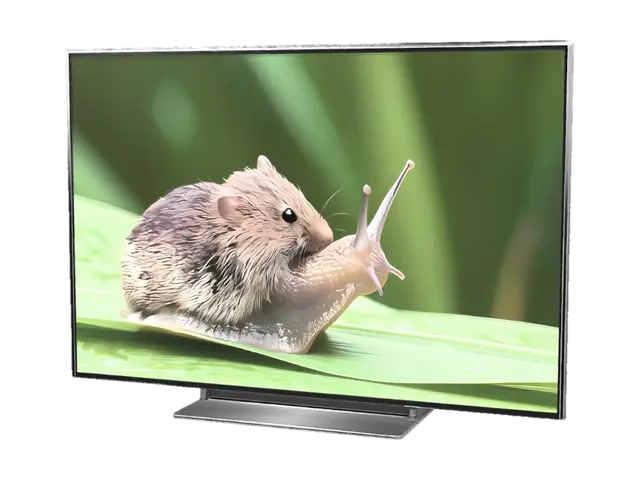 3D model for Field Mouse on a Curved Screen