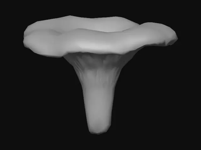 3D model for Chanterelle Mushroom