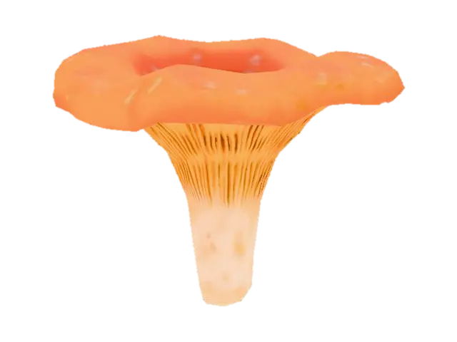 3D model for Chanterelle Mushroom