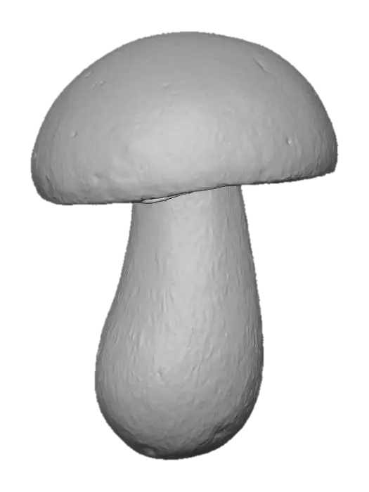 3D model for Porcini Mushroom