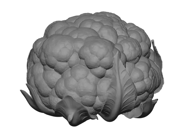 3D model for Modern Cauliflower
