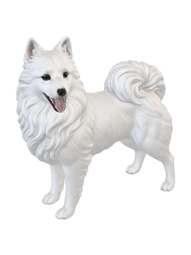3D model for 
