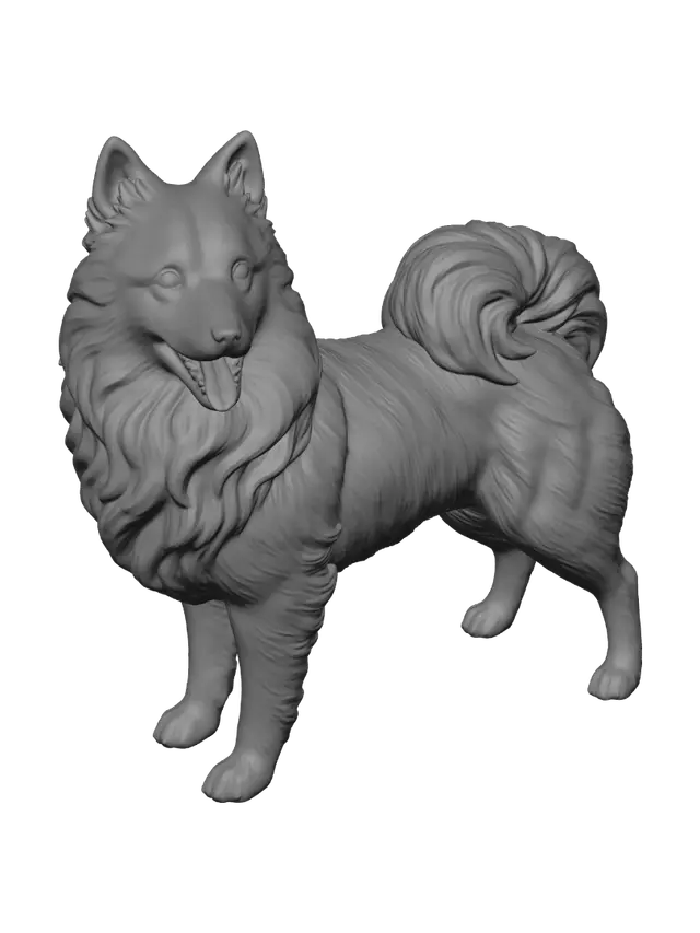 3D model for 