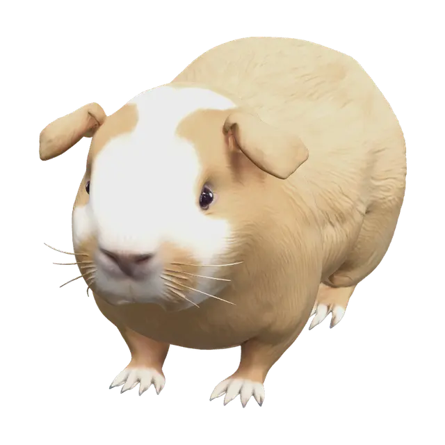Realistic Guinea Pig 3D model, vytvořený pomocí AI