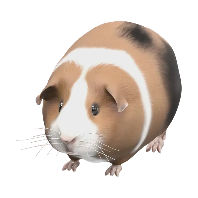 Fantasy Guinea Pig 3D model, vytvořený pomocí AI