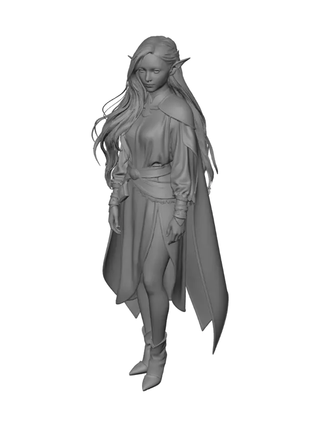 3D model for Elfe