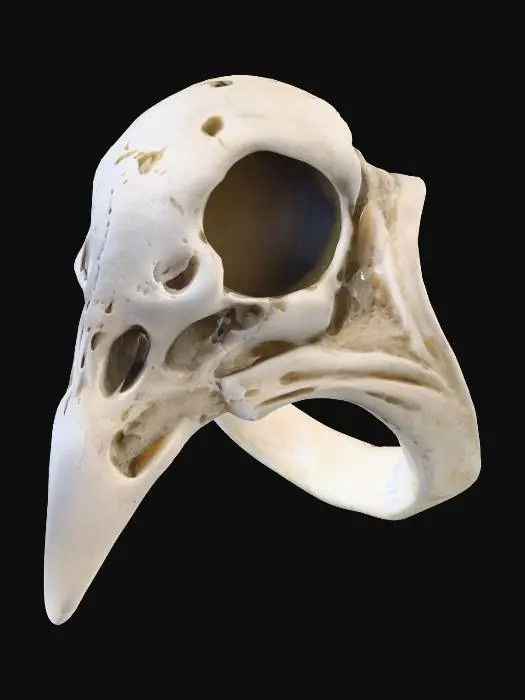 3D model for Raven Skull Ring, #Halloween2025#