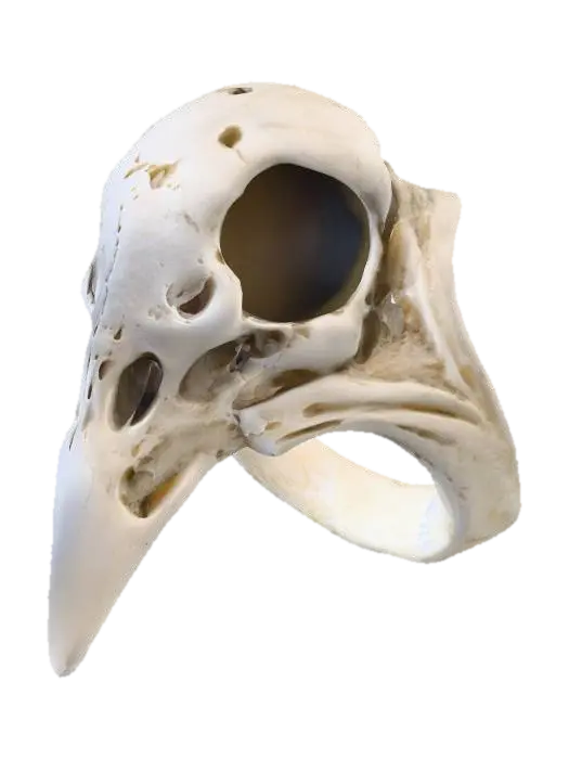 3D model for Raven Skull Ring, #Halloween2025#