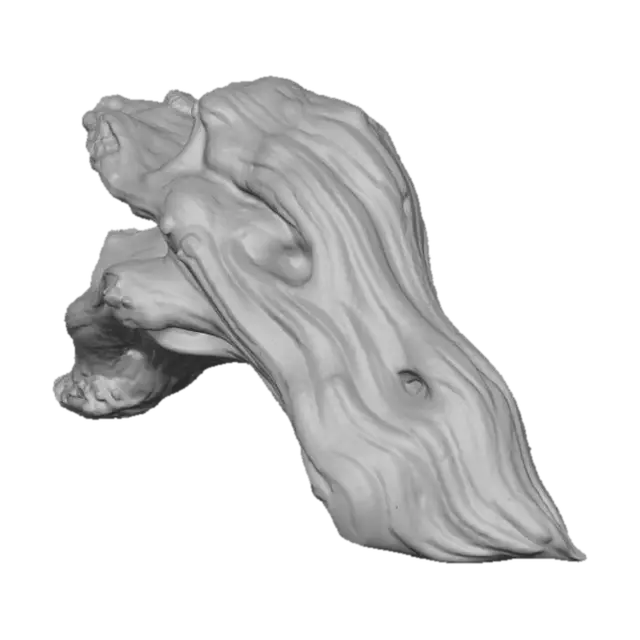 3D model for Driftwood Elegance