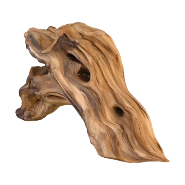 3D model for Driftwood Elegance