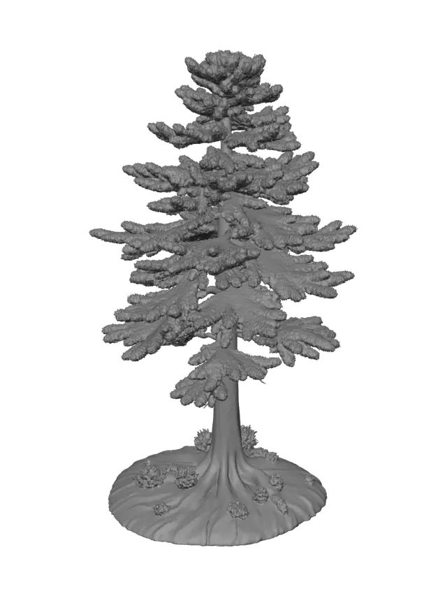 3D model for Common Pine